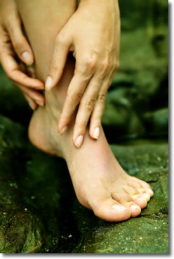 Foot Foot