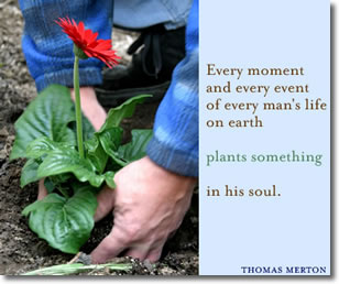 explorefaith e- card
