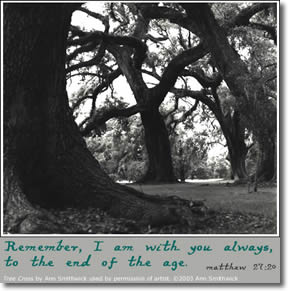 e-card; photo by Ann Smithwick