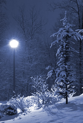 A Lamppost in Winter